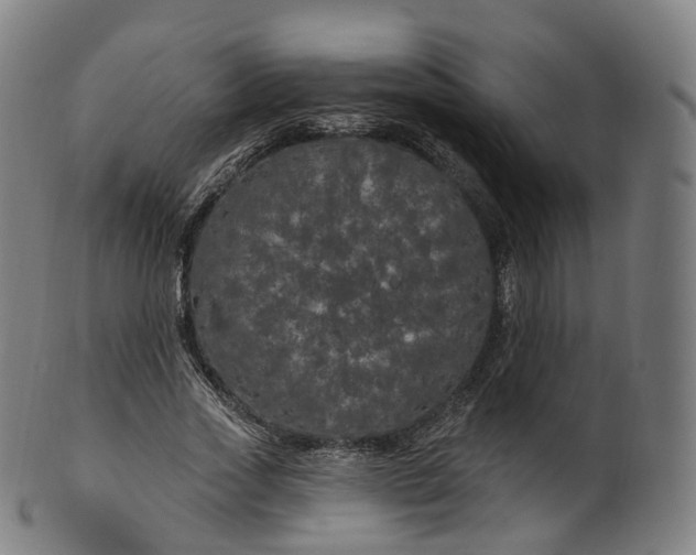 X0000099960733200806061605