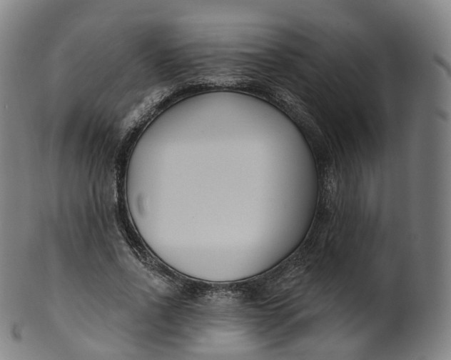 X0000099960734200806061605