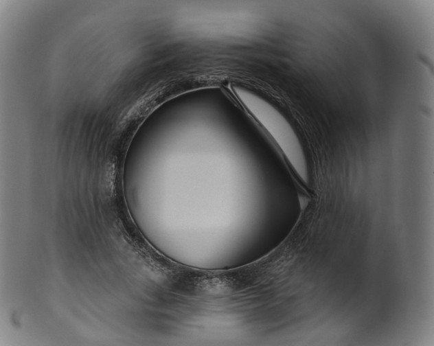 X0000099960735200806061605