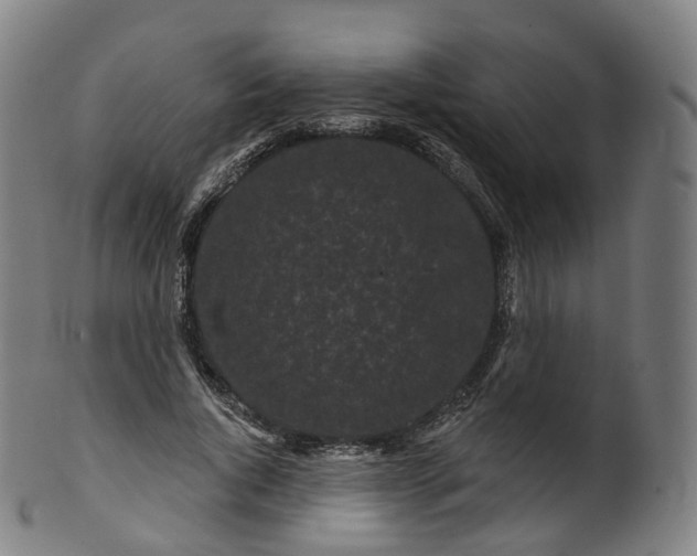 X0000099960736200806061605