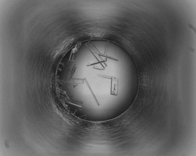 X0000099960738200806061605