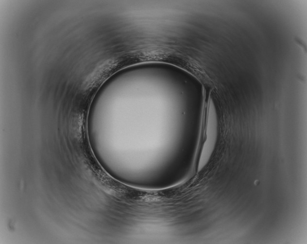 X0000099960742200806061605