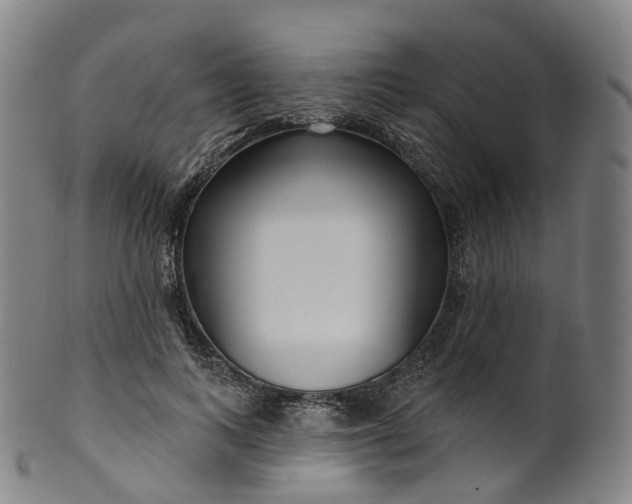 X0000099960743200806061605