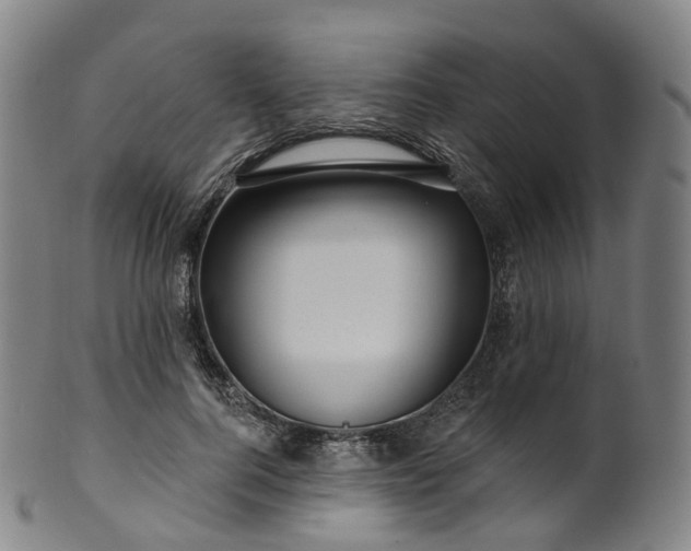 X0000099960744200806061605