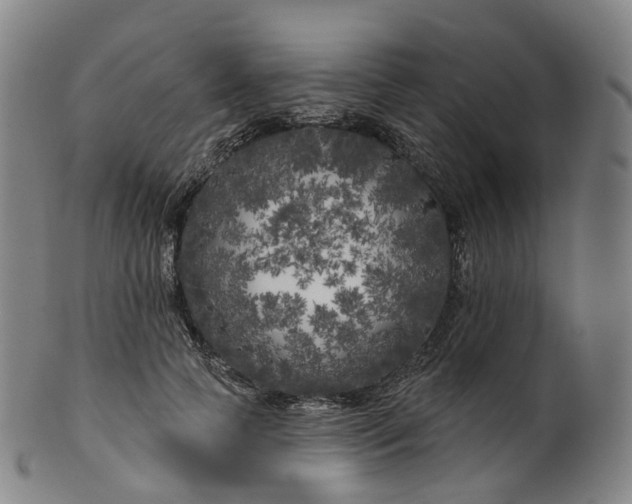 X0000099960745200806061605