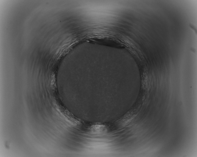 X0000099960748200806061605