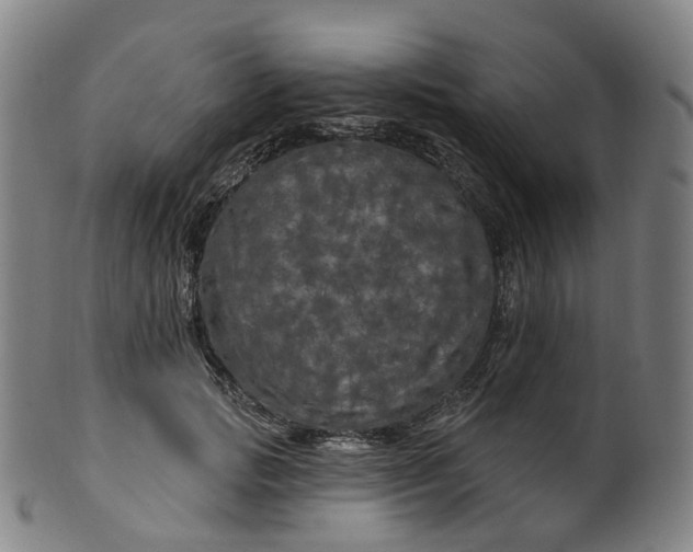 X0000099960749200806061605