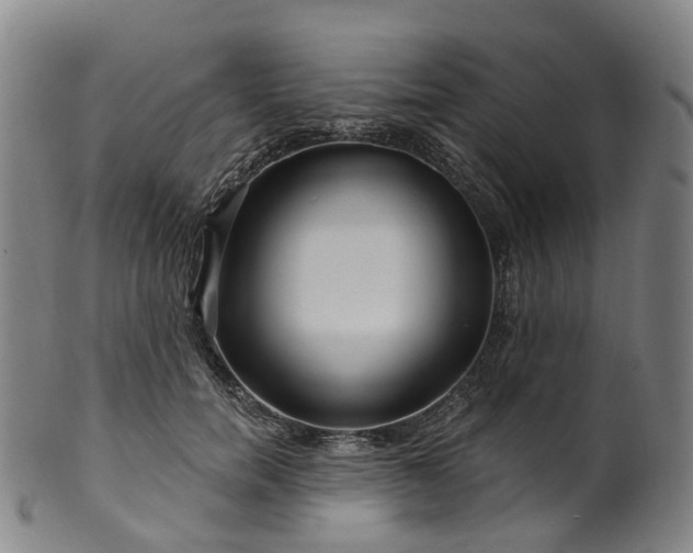X0000099960750200806061605