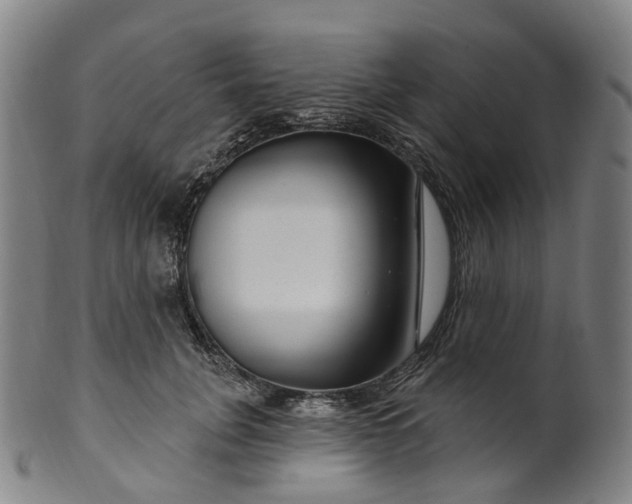 X0000099960751200806061605