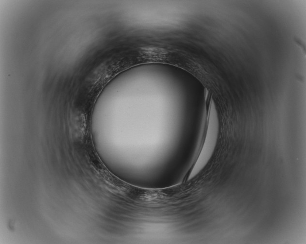 X0000099960752200806061605
