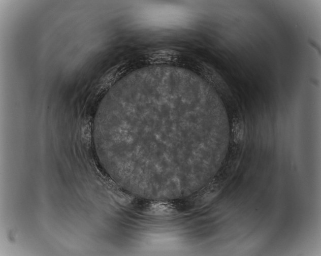 X0000099960753200806061605
