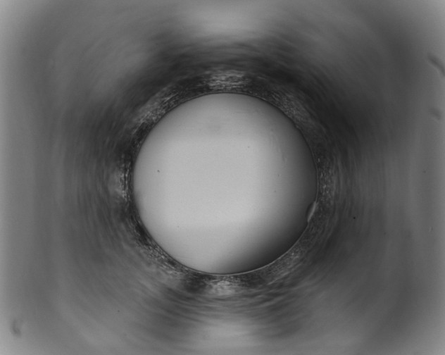 X0000099960755200806061605