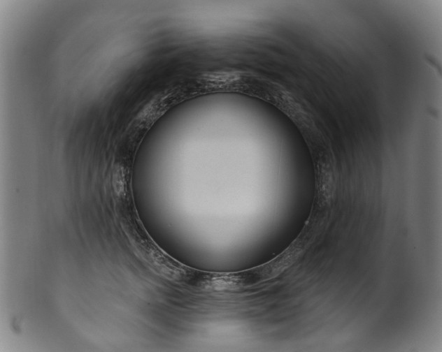 X0000099960758200806061605