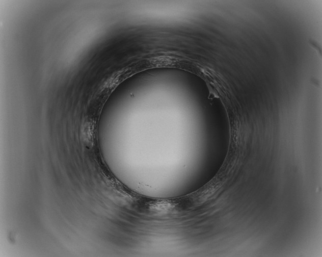 X0000099960759200806061605
