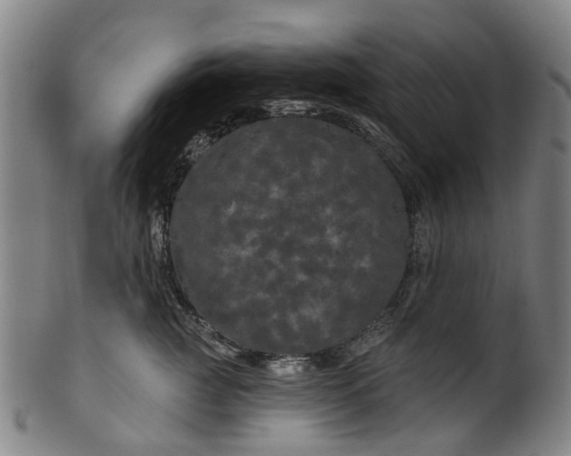 X0000099960761200806061605