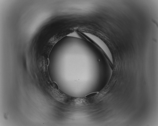 X0000099960762200806061605