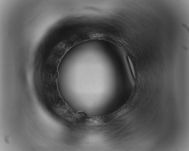 X0000099960763200806061605