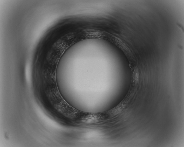 X0000099960764200806061605