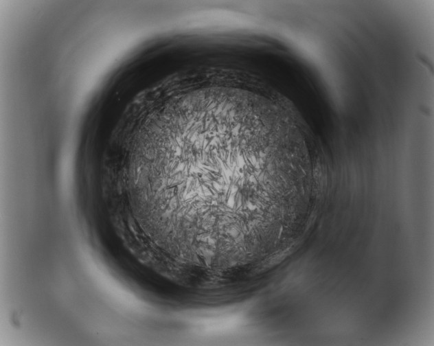 X0000099960765200806061605