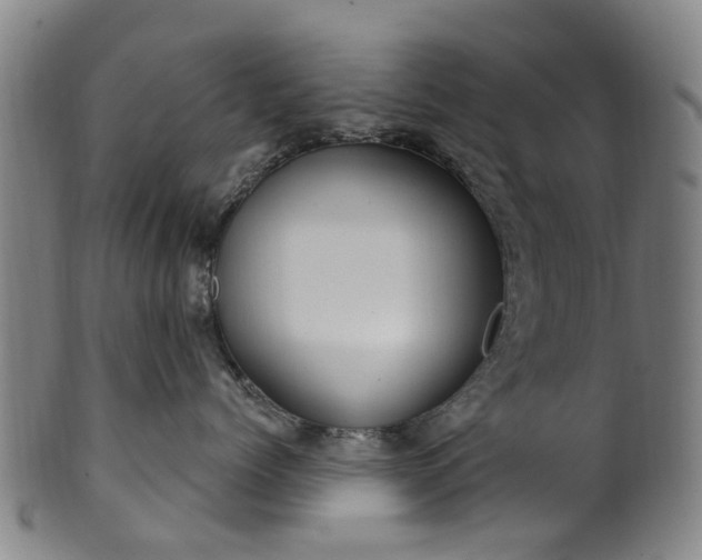 X0000099960768200806061606