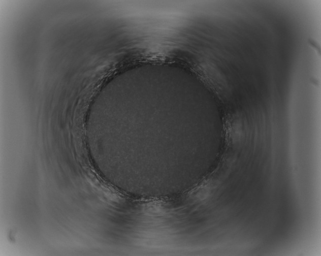 X0000099960769200806061605
