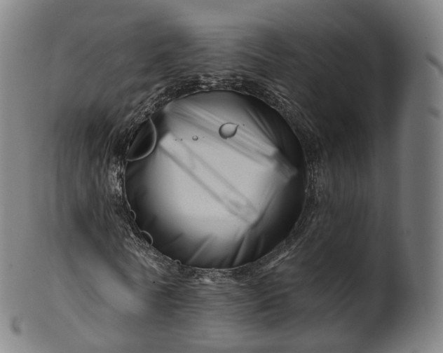 X0000099960770200806061605