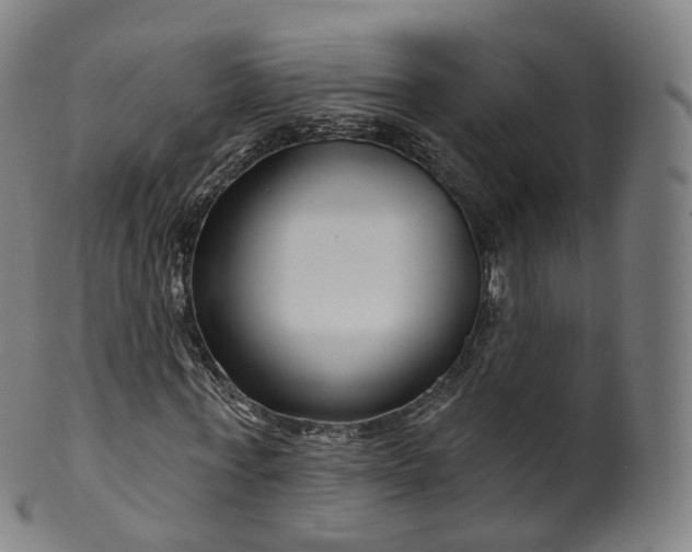 X0000099960771200806061605