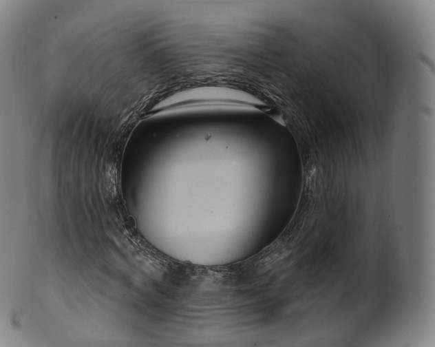 X0000099960772200806061605
