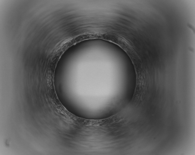 X0000099960773200806061605