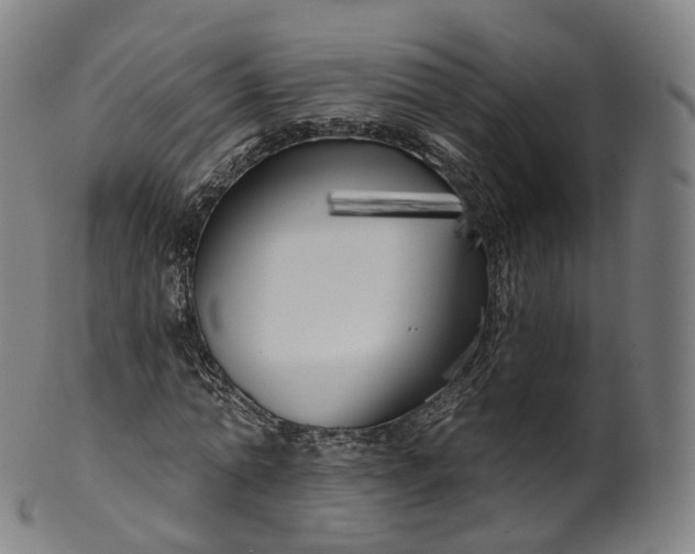 X0000099960774200806061605