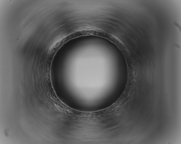 X0000099960775200806061605