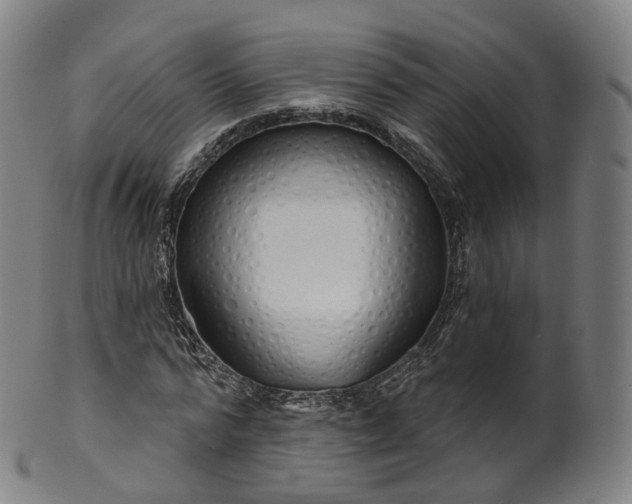 X0000099960776200806061605