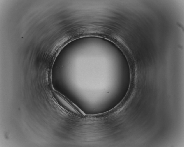 X0000099960777200806061605