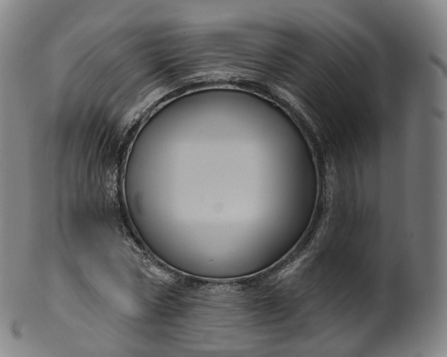 X0000099960778200806061605