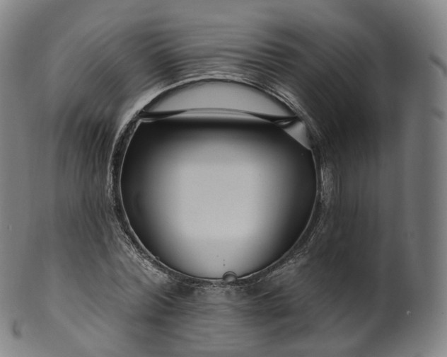 X0000099960780200806061605