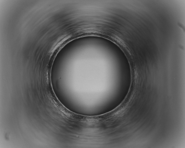 X0000099960782200806061605