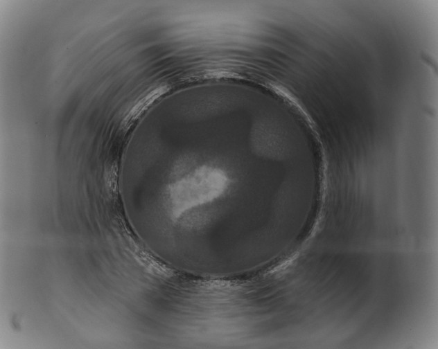 X0000099960785200806061605