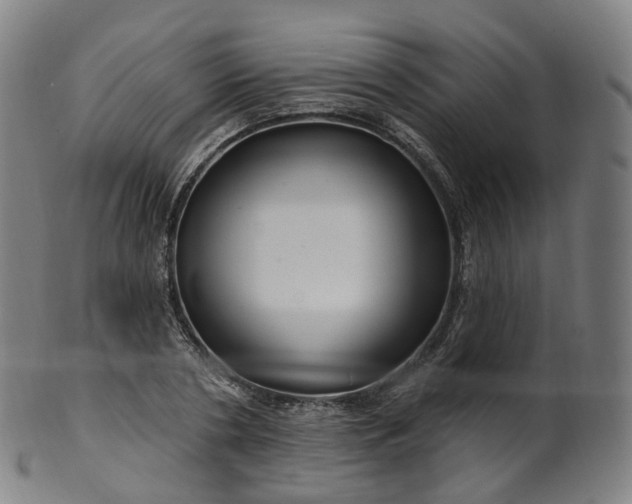 X0000099960786200806061605