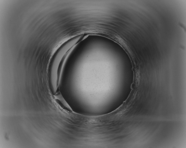 X0000099960787200806061605