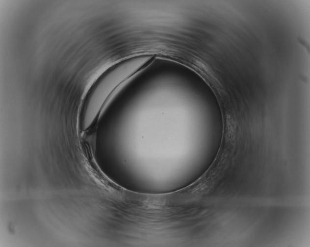 X0000099960788200806061605