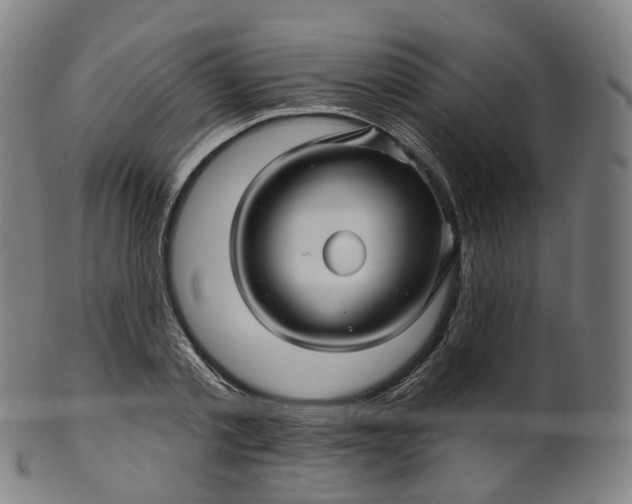 X0000099960789200806061604