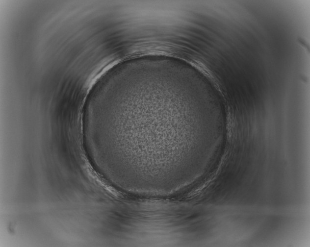 X0000099960790200806061604