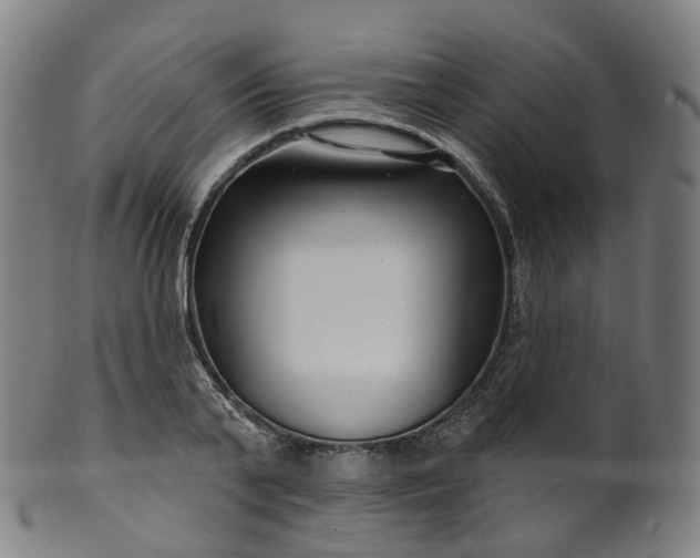 X0000099960791200806061604