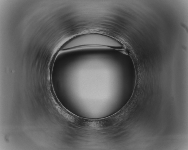 X0000099960792200806061604