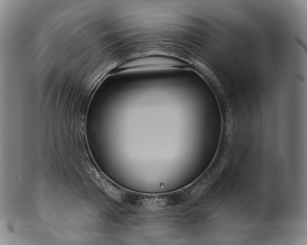 X0000099960793200806061604