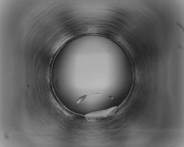 X0000099960794200806061604