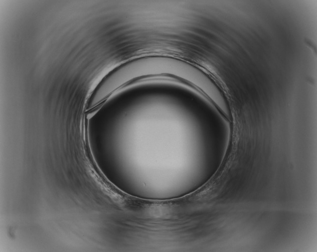 X0000099960796200806061604