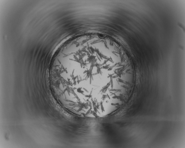 X0000099960798200806061604