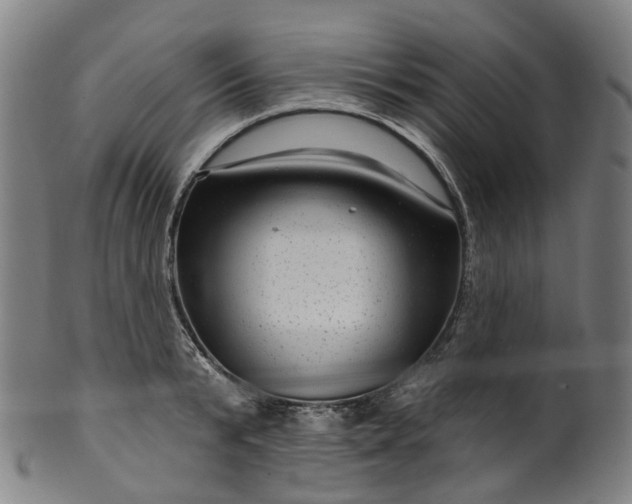 X0000099960799200806061604