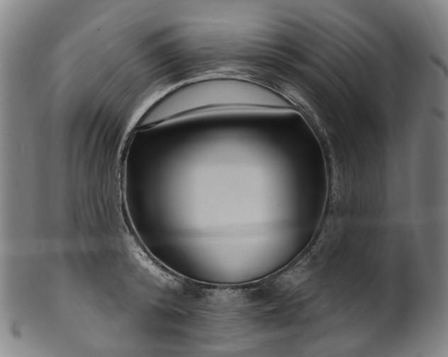 X0000099960800200806061604